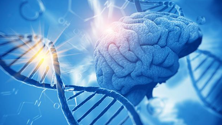 美国生物化学研究生申请条件解析：如何备战申请名校？