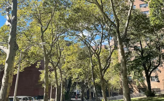 加州大学圣地亚哥分校物理专业信息介绍