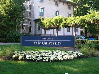 2023年耶鲁大学有哪些专业适合就业